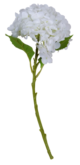 Hortensia 88cm hvit