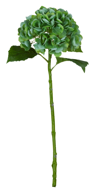 Hortensia 88cm grønn