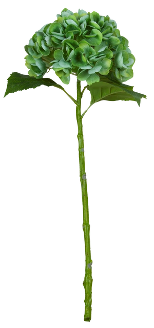 Hortensia 88cm grønn
