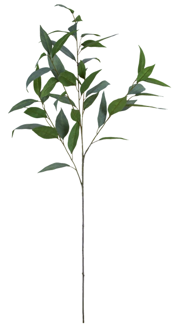 Eucalyptus 99cm