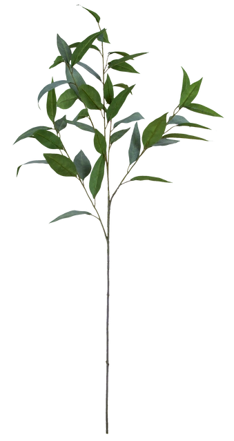 Eucalyptus 99cm