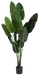 Banantre innendørs 208cm 2