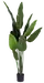 Banantre innendørs 208cm 5