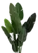 Banantre innendørs 208cm 4