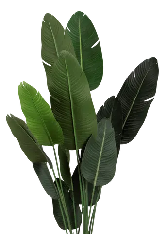 Banantre innendørs 208cm 4