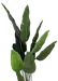 Banantre innendørs 208cm 3