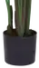 Banantre innendørs 208cm 6