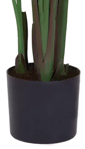 Banantre innendørs 208cm 6