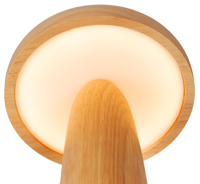 Vara LED oppladbar bordlampe 26cm natur
