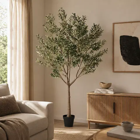 Oliventre innendørs 210cm, bilde 1 av 7