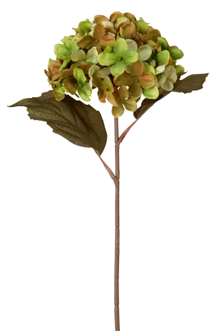 Hortensia grønn/brun 43cm, bilde 4 av 5