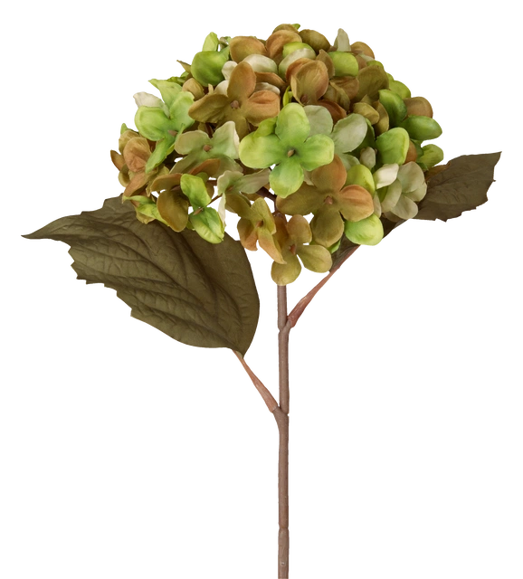 Hortensia grønn/brun 43cm 3