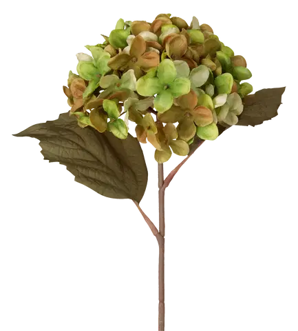 Hortensia grønn/brun 43cm, bilde 3 av 5