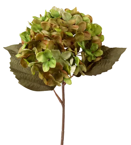 Hortensia grønn/brun 43cm, bilde 2 av 5