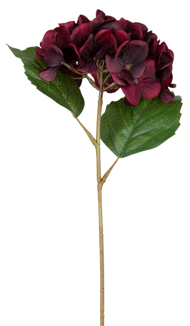 Hortensia dyp rød 43cm 4