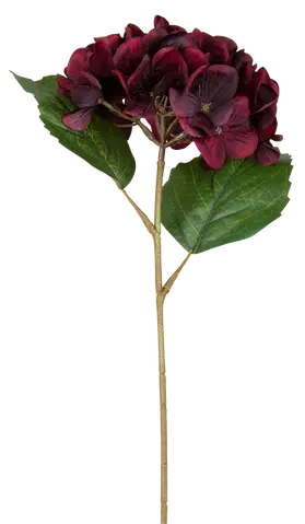 Hortensia dyp rød 43cm, bilde 4 av 5