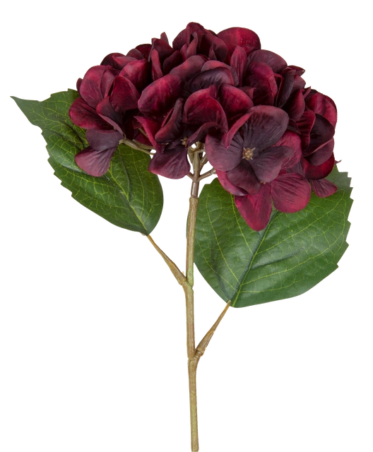 Hortensia dyp rød 43cm 3