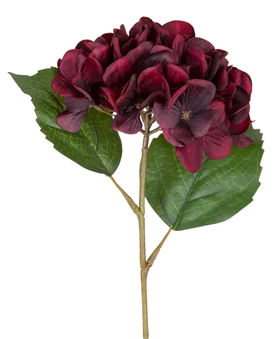 Hortensia dyp rød 43cm, bilde 3 av 5