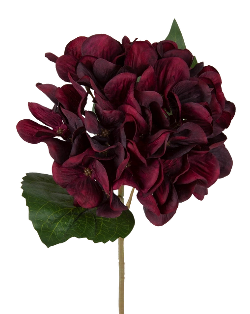 Hortensia dyp rød 43cm 2
