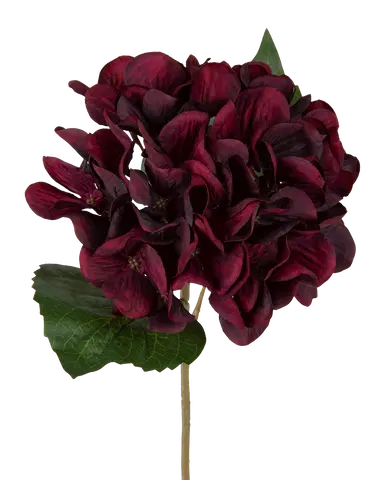 Hortensia dyp rød 43cm, bilde 2 av 5