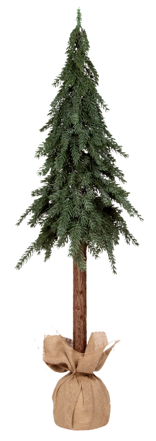 Evergreen tre 120cm 2