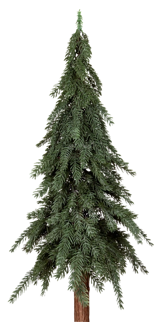 Evergreen tre 120cm 3