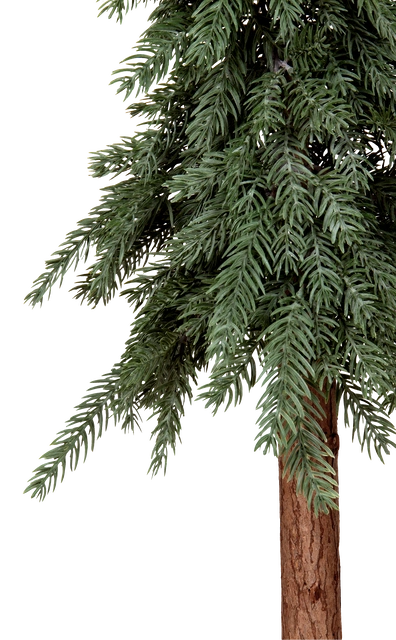 Evergreen tre 120cm 4