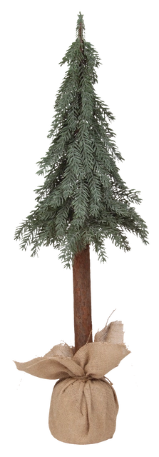 Evergreen tre 90cm 2