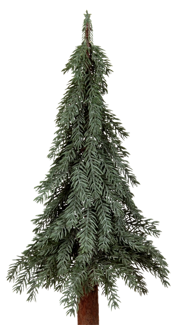 Evergreen tre 90cm 3