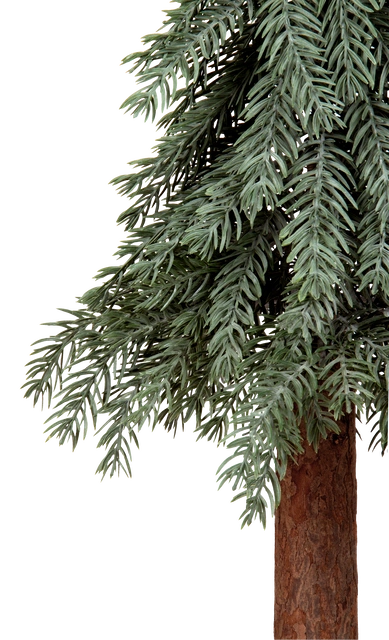 Evergreen tre 90cm 4