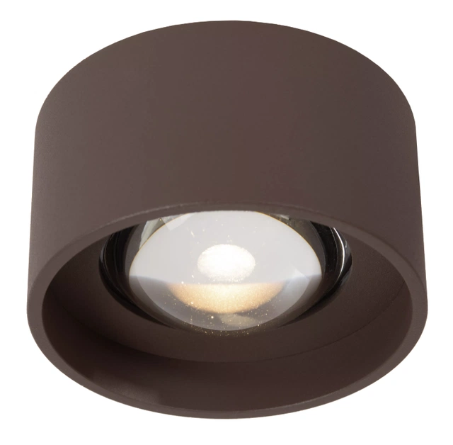Lenz utelampe takspot 10cm brun