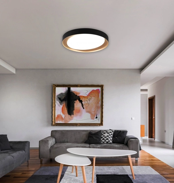 Zeta LED plafond taklampe 48cm sort