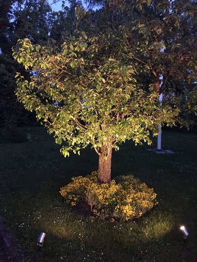 Luna LED utelampe spot IP65 stål