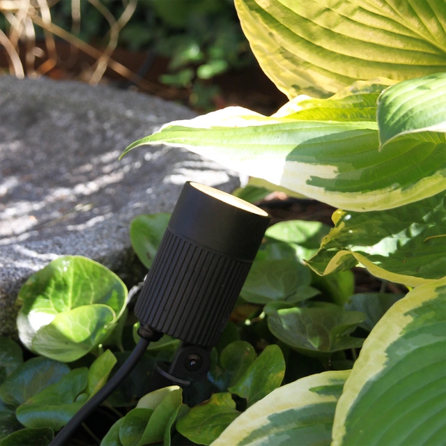 Medusa LED utelampe spot IP67 sort