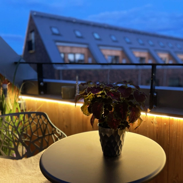 Strip LED utelampe IP65 2,5m klar