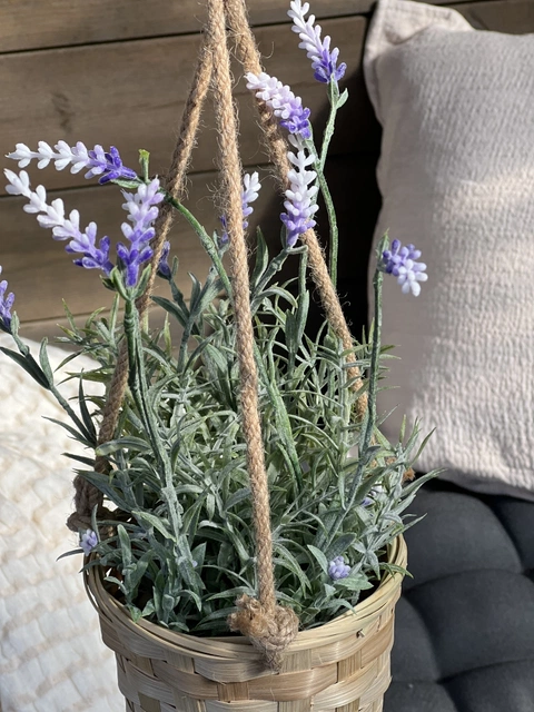 Lavendel med potte