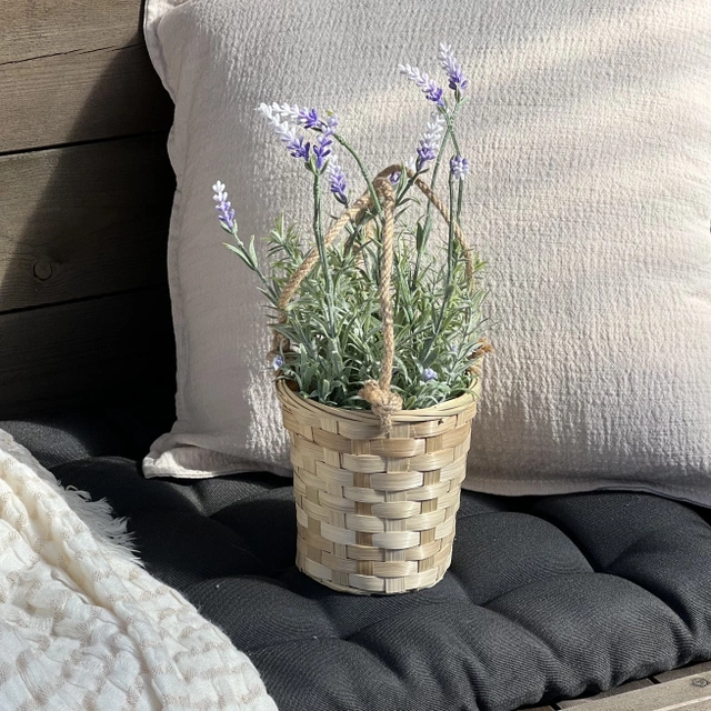 Lavendel med potte